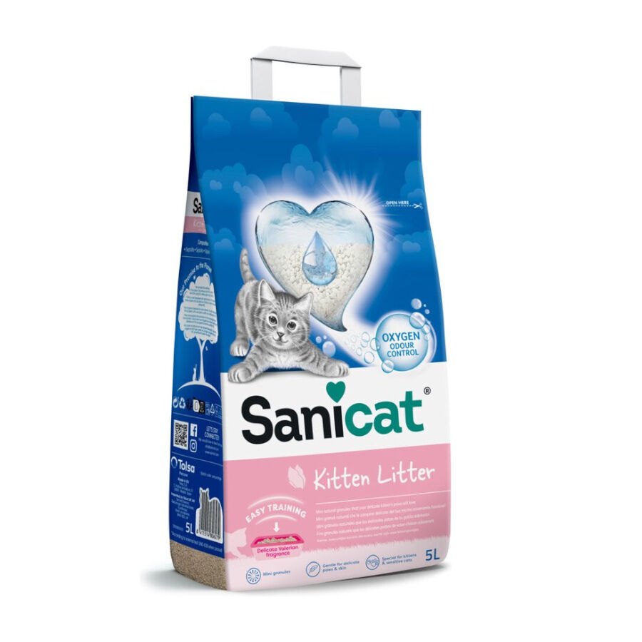 Sanicat Kitten Arena Superabsorbente para gatos