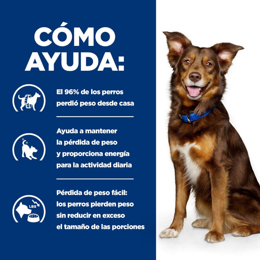 12 kg Hill's Prescription Diet Metabolic Pollo pienso para perros, , large indicador imagen numero 5