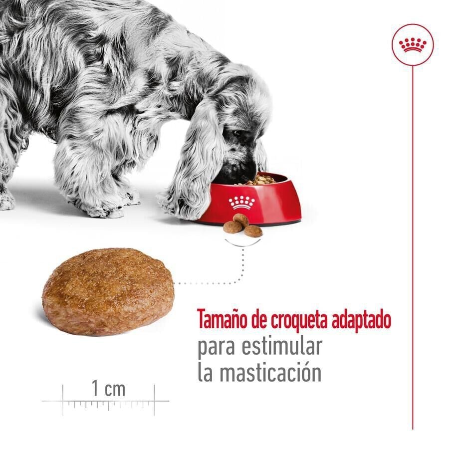 15 kg Royal Canin Medium 7+ Adult pienso para perros senior, , large indicador imagen numero 7