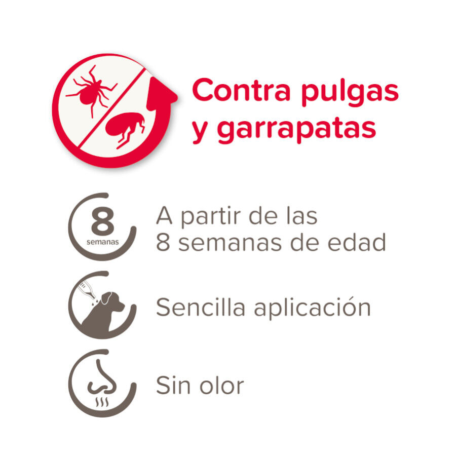 Beaphar FiproTec Pipetas para perros, , large indicador imagen numero 4