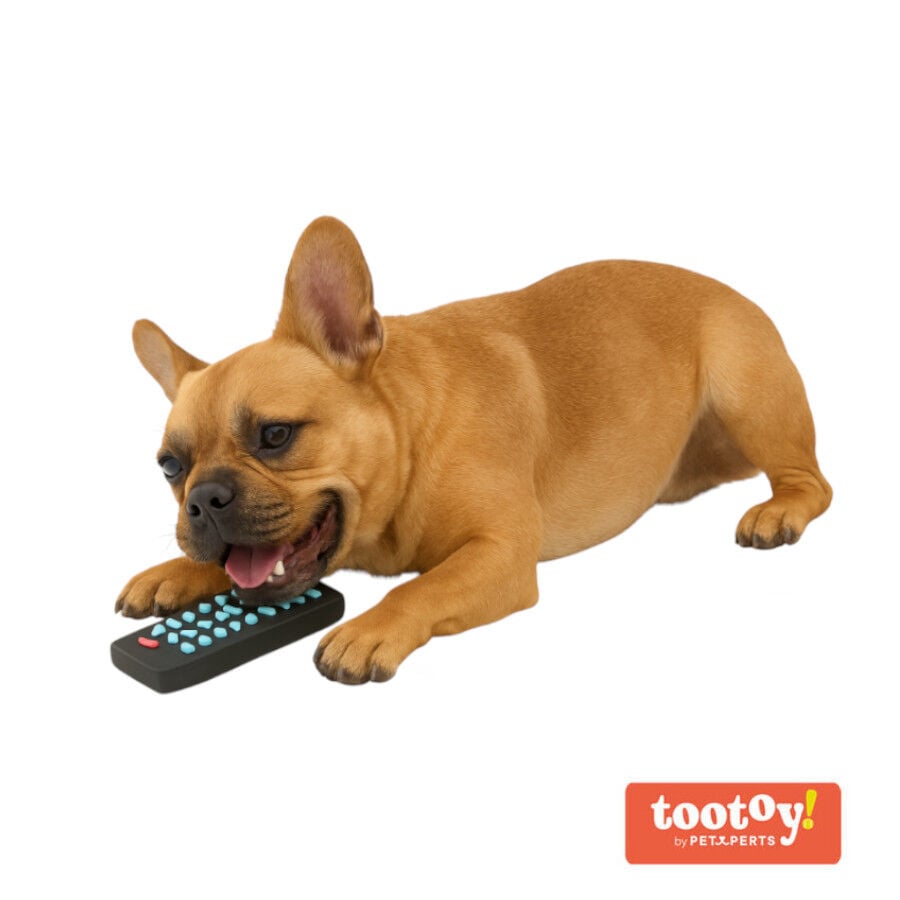 Tootoy! Chew TV Remote Mordedor con sonido para perros, , large Imagen numero 2