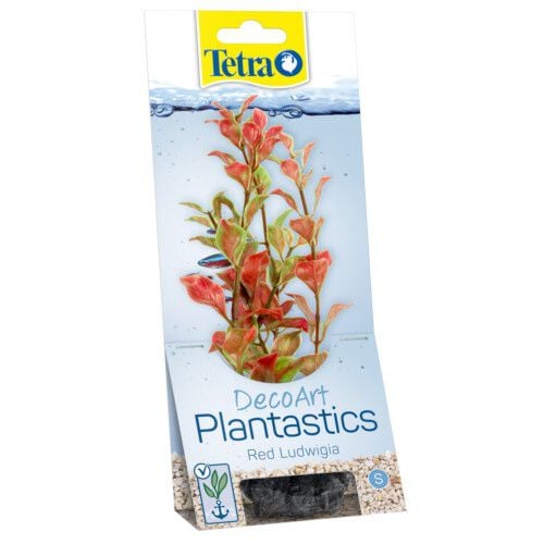 Tetra Ludwigia planta decorativa para acuario Imagen numero 1