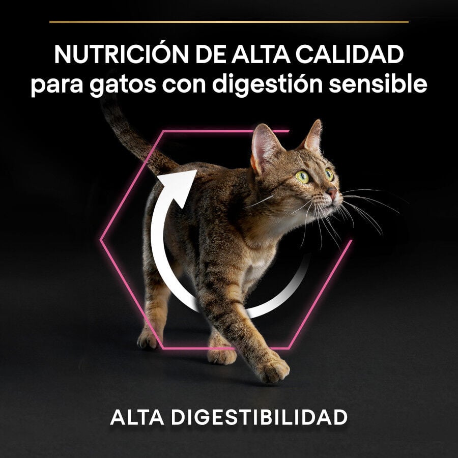 3 kg Pro Plan Adult Delicate Digestion Adult pavo pienso para gatos, , large indicador imagen numero 6