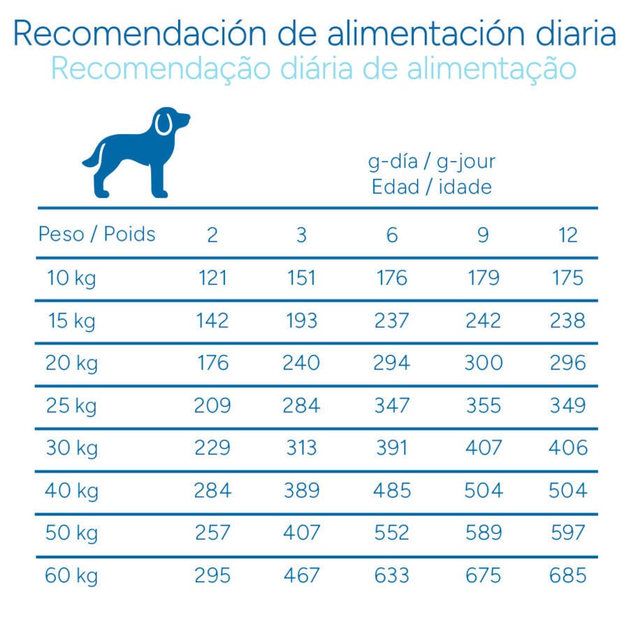 12 kg Criadores Cient&iacute;fico Medium Maxi Pienso Pollo para cachorros, , large Imagen numero 9