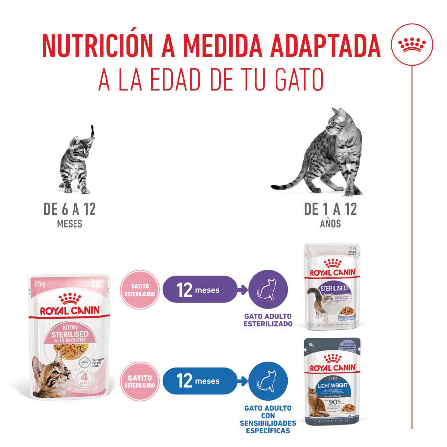 85 g Royal Canin Kitten Sterilised gelatina para gatos, , large indicador imagen numero 6