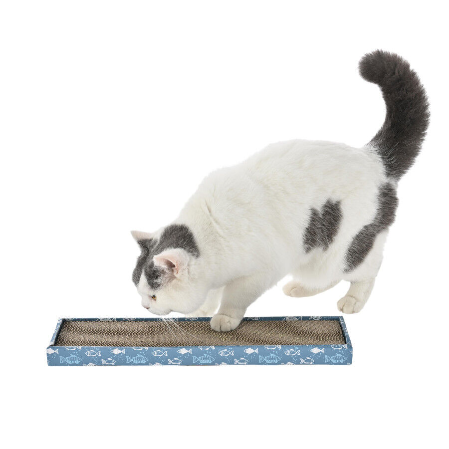 Leeby Fitz tabla rascador de cart&oacute;n azul para gatos, , large indicador imagen numero 8