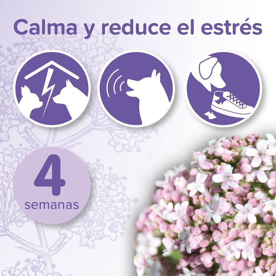Beaphar No-Stress Difusor de Recambio Anti estr&eacute;s para perros, , large Imagen numero 2