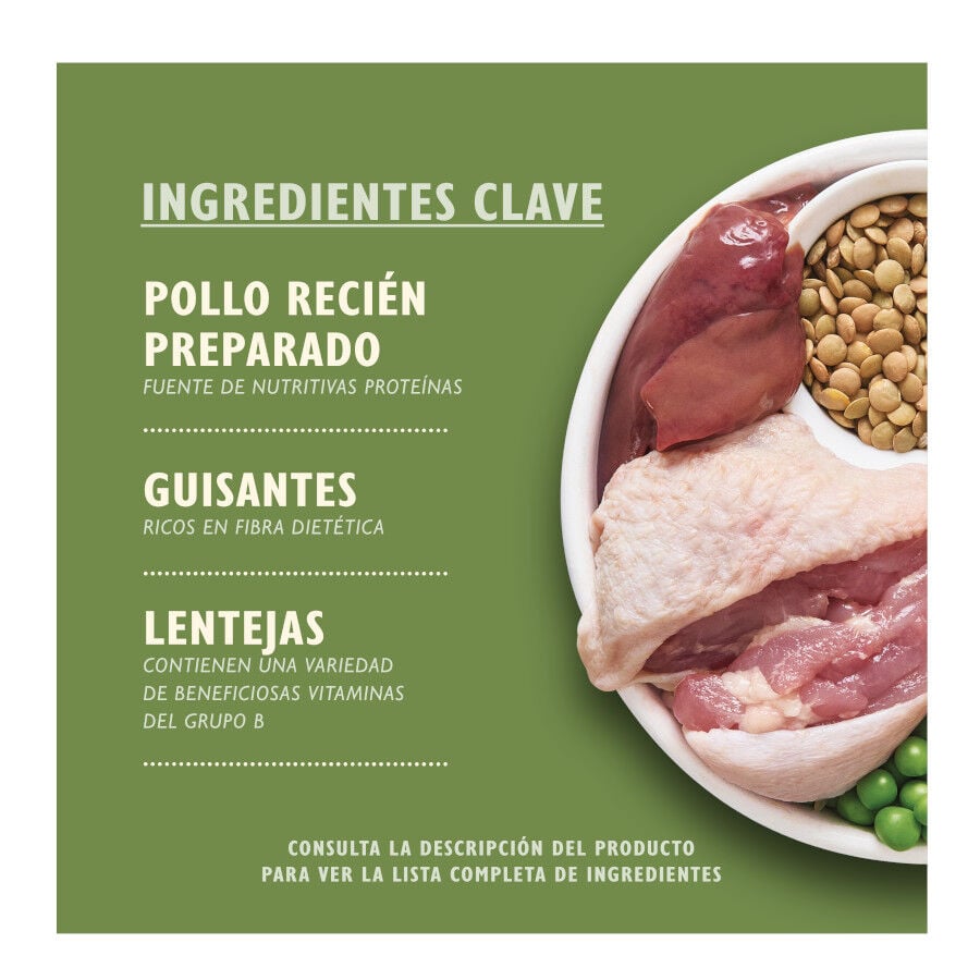 7 kg Lily's Kitchen Organic Pollo y Verdura pienso para perros, , large indicador imagen numero 2