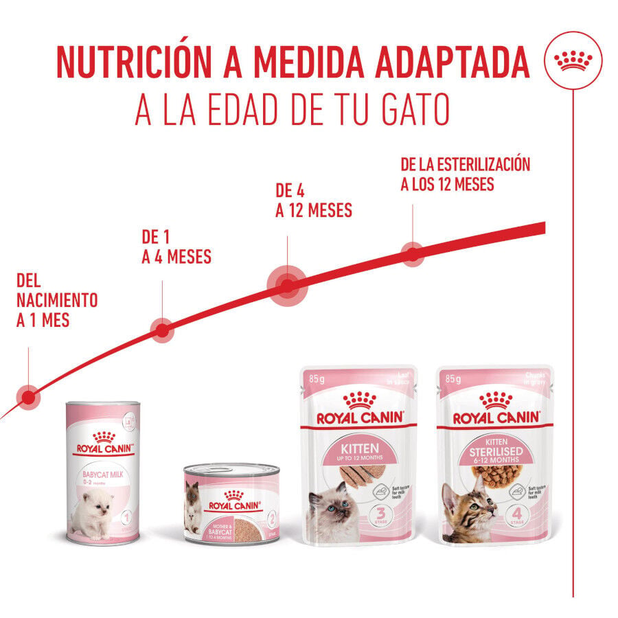 85 g Royal Canin Kitten pat&eacute; sobre para gatos, , large Imagen numero 6