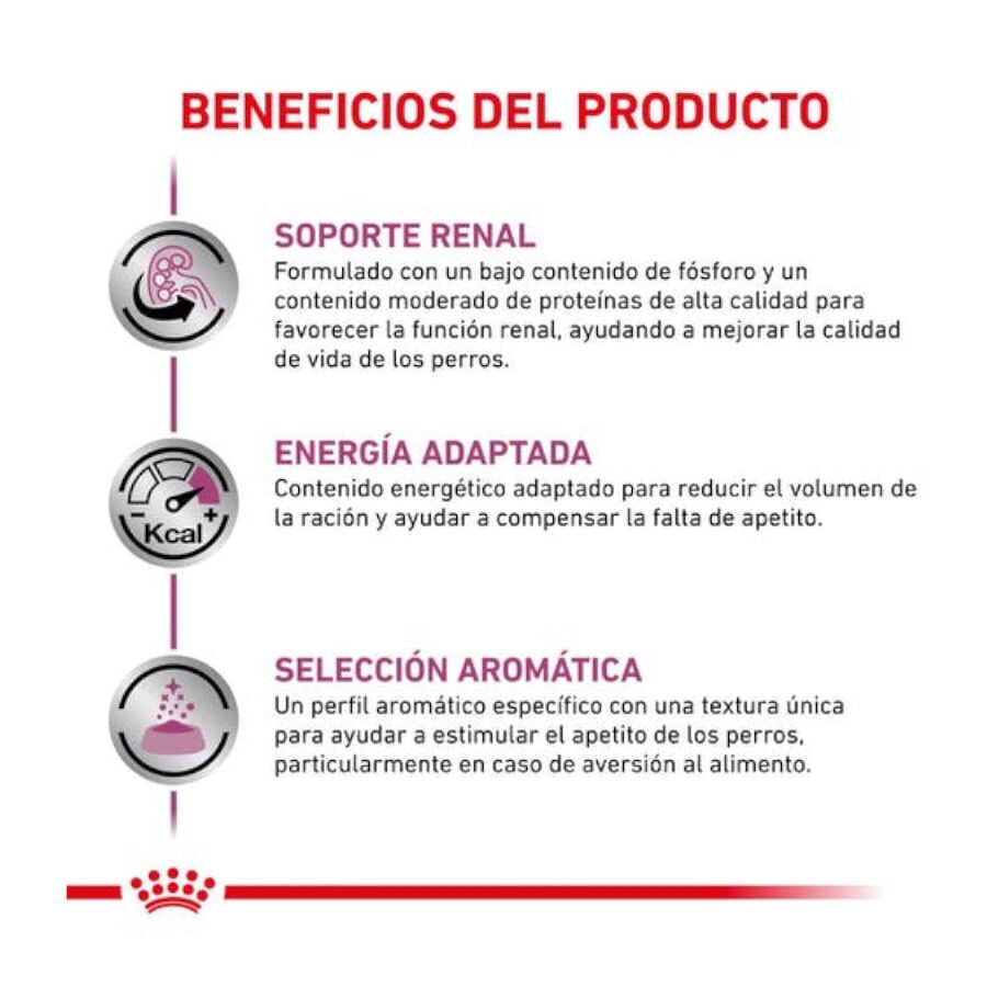 410 g Royal Canin Veterinary Renal Special latas para perros, , large indicador imagen numero 4