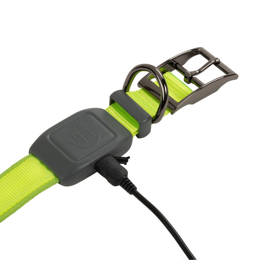 Nite Ize NiteDog Collar Led Recargable Verde para perros, , large Imagen numero 4