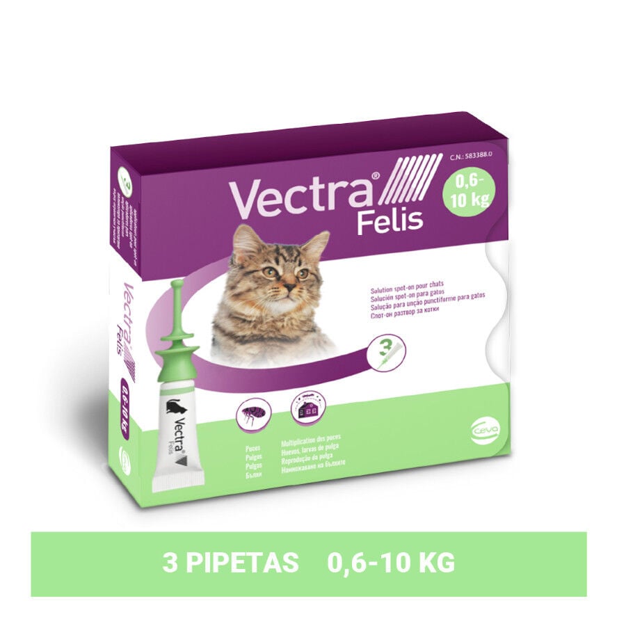 Vectra Felis Pipetas Antiparasitarias para gatos - Pack 3, , large Imagen numero 2