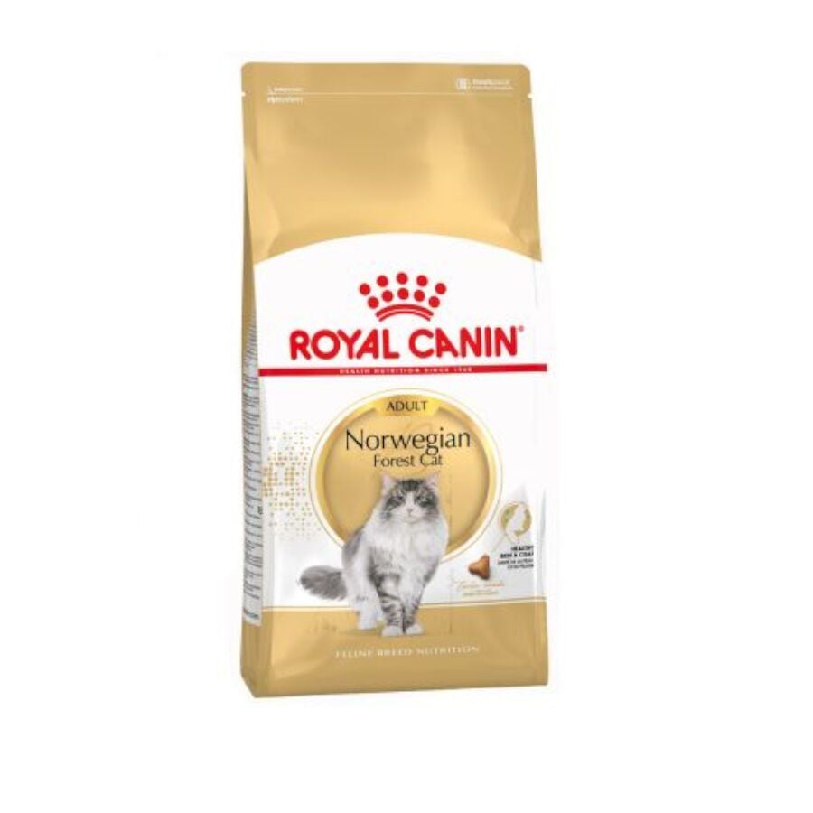 10 kg Royal Canin Adult Norwegian Forest pienso para gatos, , large indicador imagen numero 1