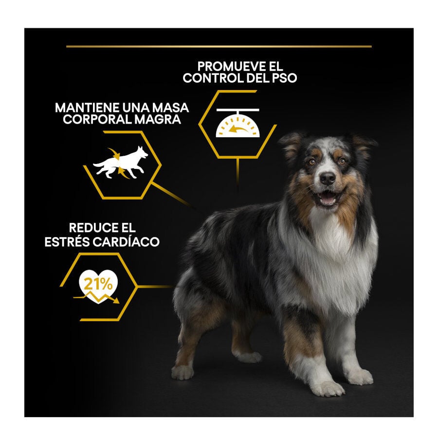 14 kg Pro Plan Adult Light/Sterilised Pollo pienso para perros, , large Imagen numero 3