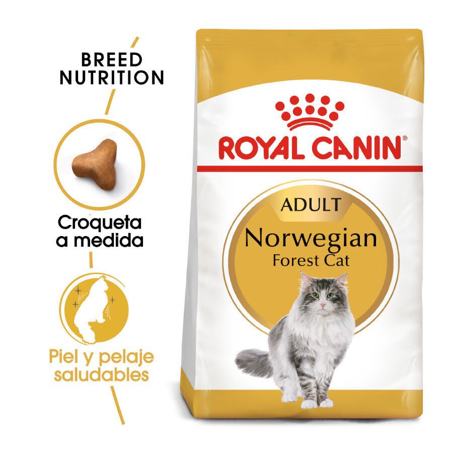 10 kg Royal Canin Adult Norwegian Forest pienso para gatos, , large Imagen numero 2