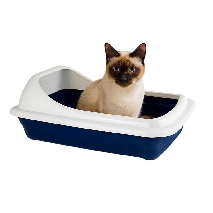 Nice Care Bandeja Sanitaria Birba Azul Cornisa para gatos, , large Imagen numero 1