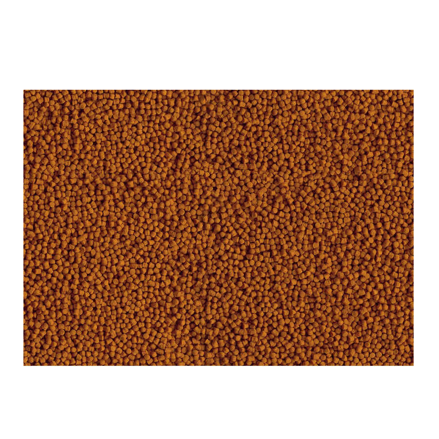 Tetra Goldfish Pellets para peces, , large Imagen numero 2
