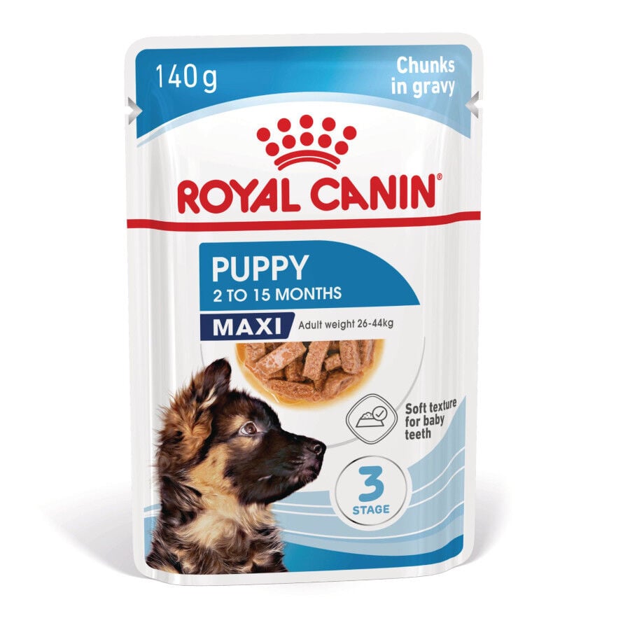 Royal Canin H&uacute;medo Maxi Puppy sobre para perros