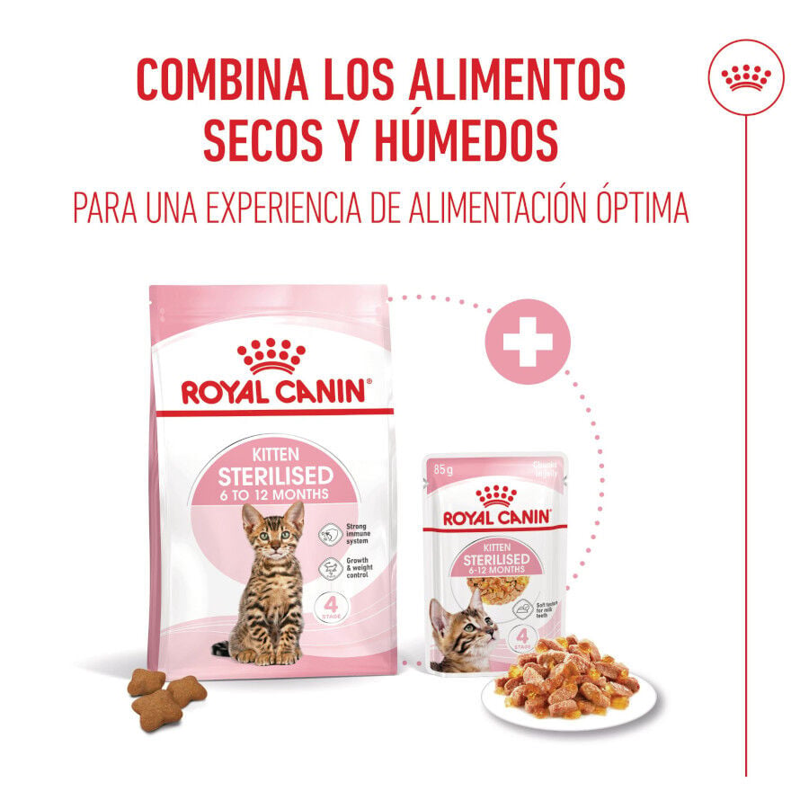 85 g Royal Canin Kitten Sterilised gelatina para gatos, , large indicador imagen numero 5
