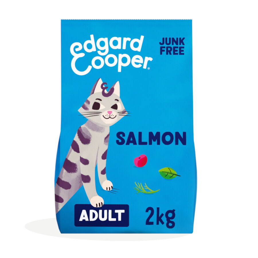4 kg Edgard & Cooper Adult Salm&oacute;n pienso para gatos, , large Imagen numero 1