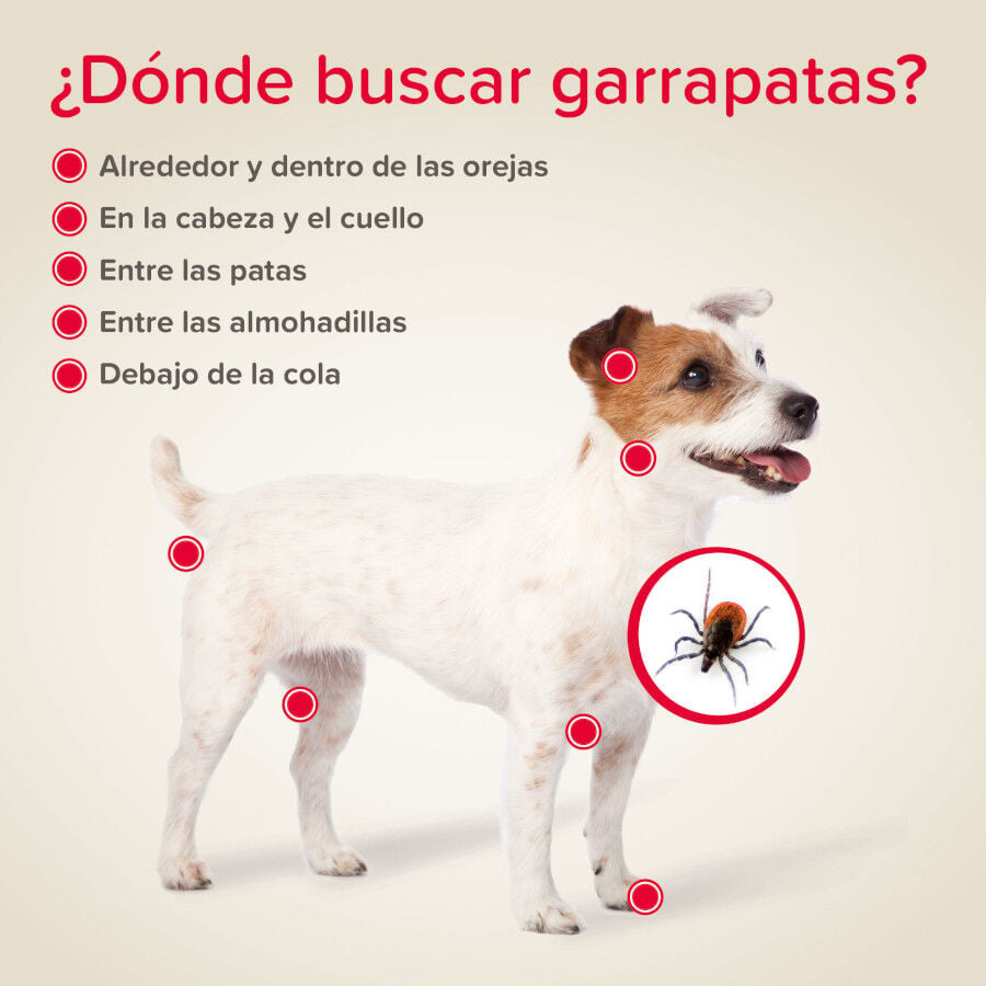 Beaphar Canishield Collar Antiparasitario para perros, , large indicador imagen numero 5