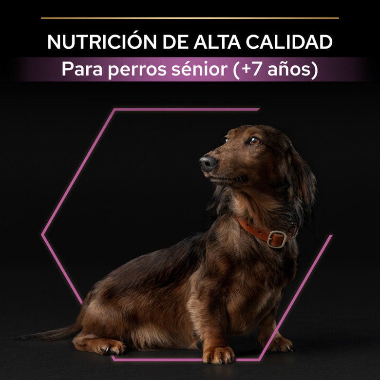 3 kg Pro Plan Adult Small y Mini Pollo pienso para perros S&eacute;nior +9, , large indicador imagen numero 8
