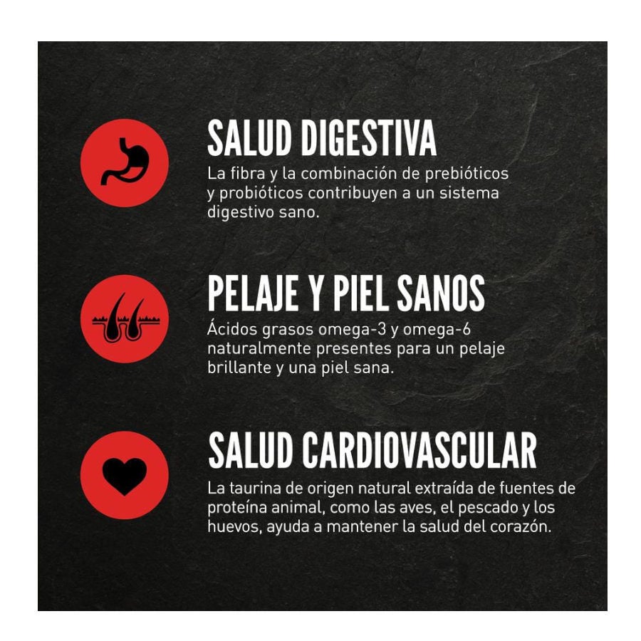 1.8 kg Orijen Kitten Pollo con Pavo y Salm&oacute;n pienso para gatos&nbsp;, , large Imagen numero 4