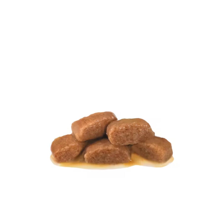 12 sobres x 85 g Royal Canin Mature Consult L&aacute;minas en Salsa Sobre para gatos, , large indicador imagen numero 2