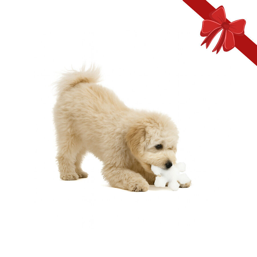 Wonder Christmas Peluche Copo de Nieve Navide&ntilde;o para perros