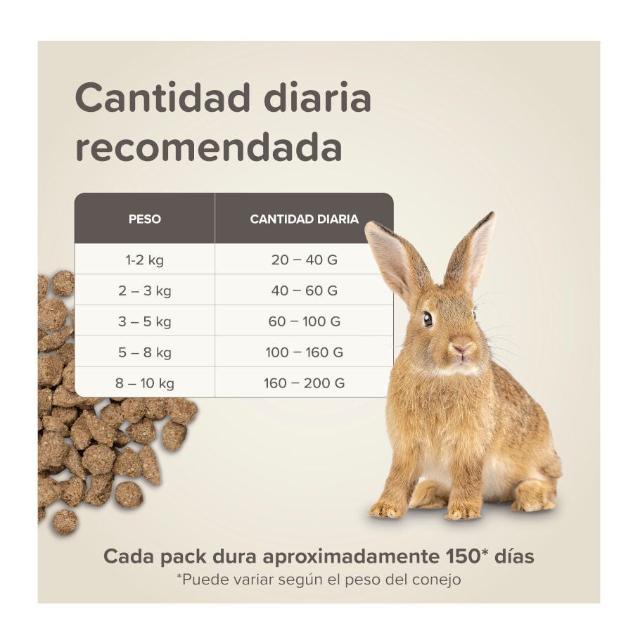 Beaphar Care+ Pienso para conejos, , large indicador imagen numero 9