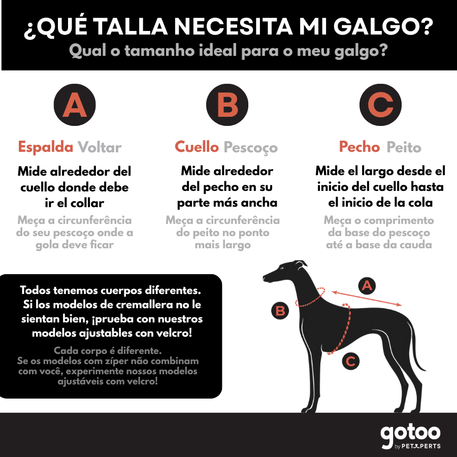 Gotoo Chaqueta Impermeable Rojo para galgos, , large indicador imagen numero 8