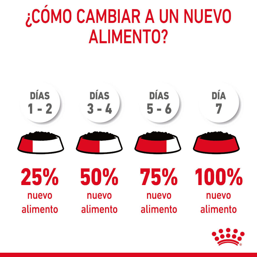 85 g Royal Canin Hairball Care Sobre en Gelatina para gatos, , large Imagen numero 9