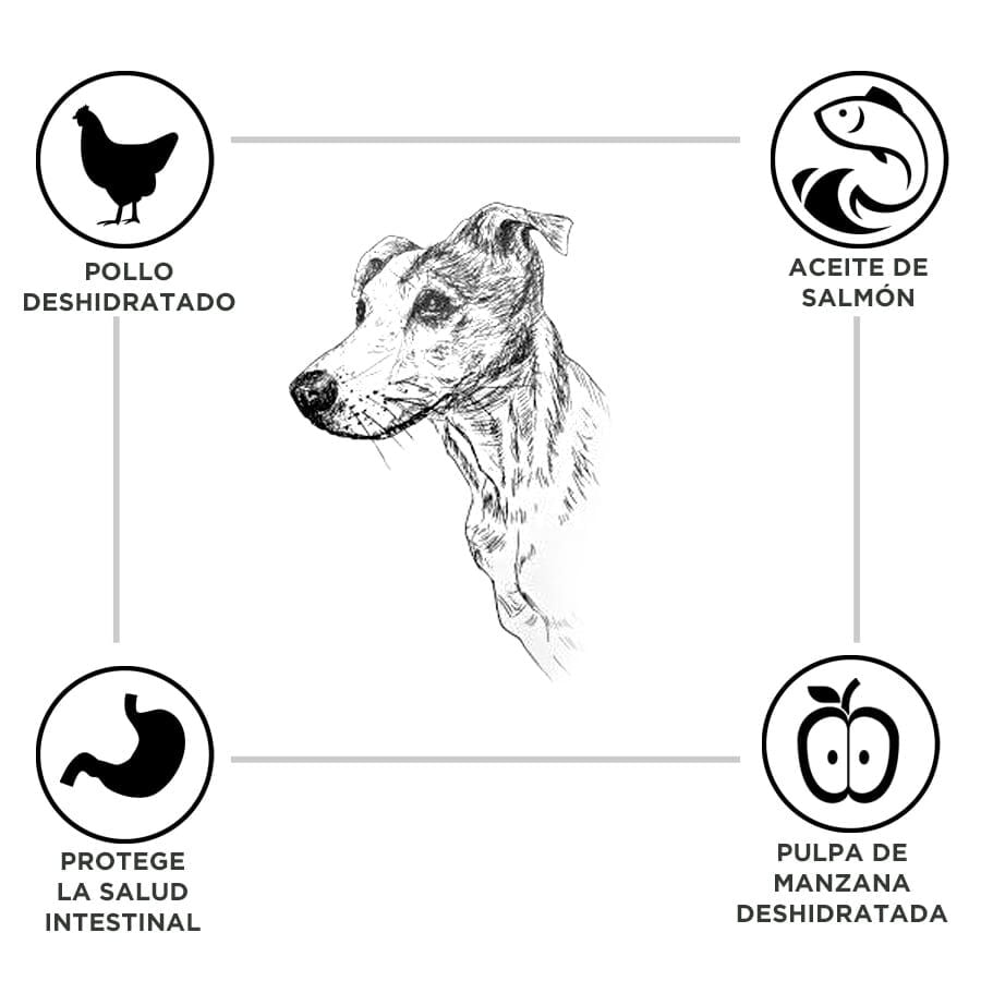 15 kg Criadores Adulto Pollo y Arroz pienso para perros de raza mediana, , large indicador imagen numero 3