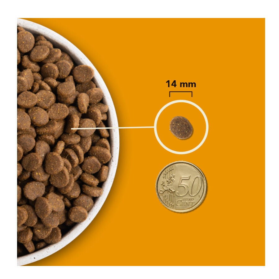 11.4 kg Acana Wild Prairie pienso para perros, , large indicador imagen numero 3
