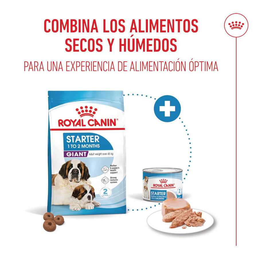 15 kg Royal Canin Starter Puppy Giant Pienso para perros, , large indicador imagen numero 6