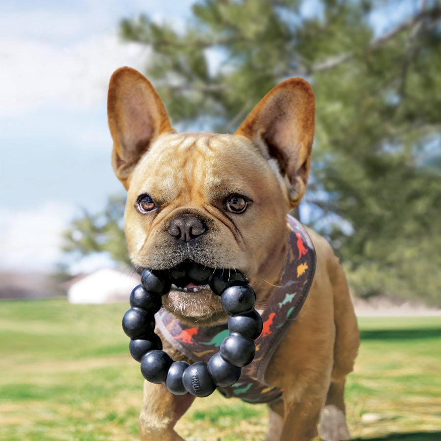 Kong Extreme Ring mordedor para perros, , large indicador imagen numero 2