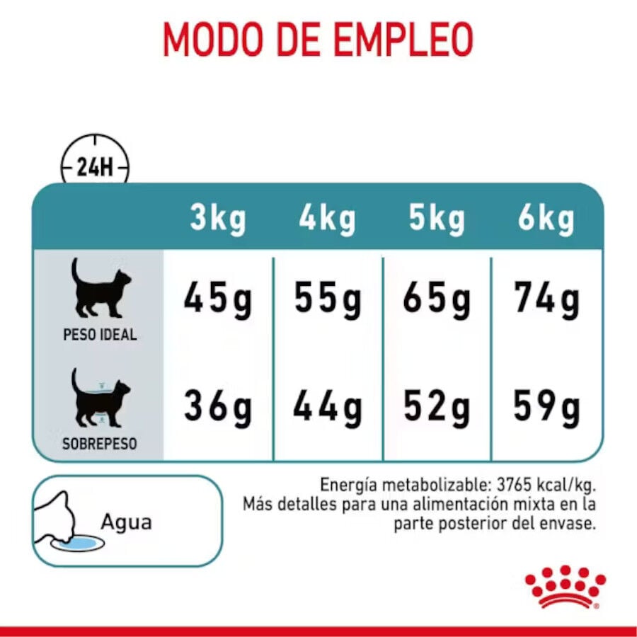10 kg Royal Canin Intense Hairball pienso para gatos, , large Imagen numero 9