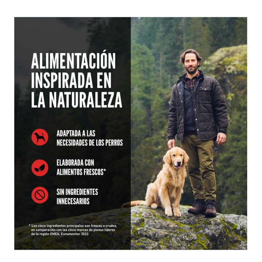 11.4 kg Orijen Adult Regional Red pienso para perros, , large indicador imagen numero 9