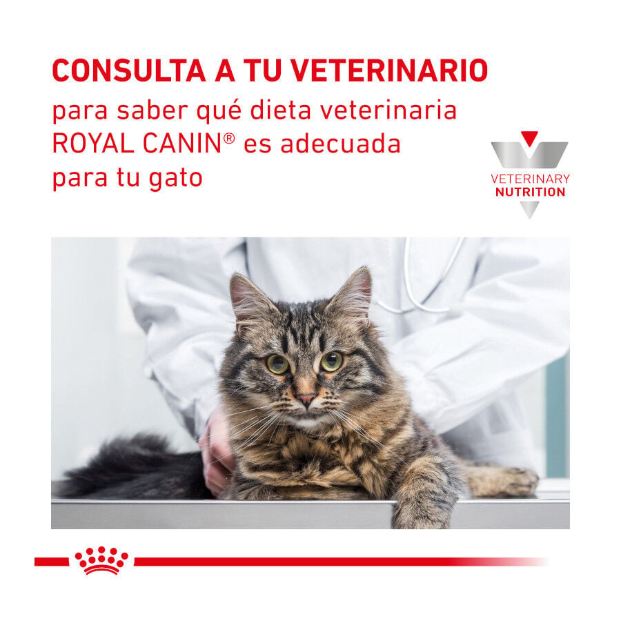 2 kg Royal Canin Veterinary Mobility pienso para gatos, , large Imagen numero 9