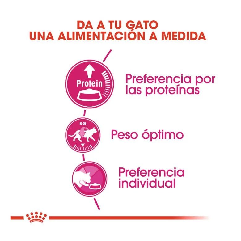2 kg Royal Canin Adult Exigent Protein pienso para gatos, , large indicador imagen numero 4