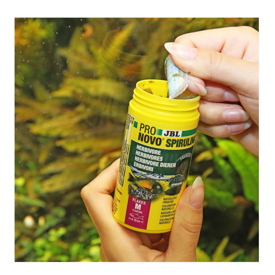 JBL Spirulina Escamas Vegetales para peces algu&iacute;voros, , large indicador imagen numero 3