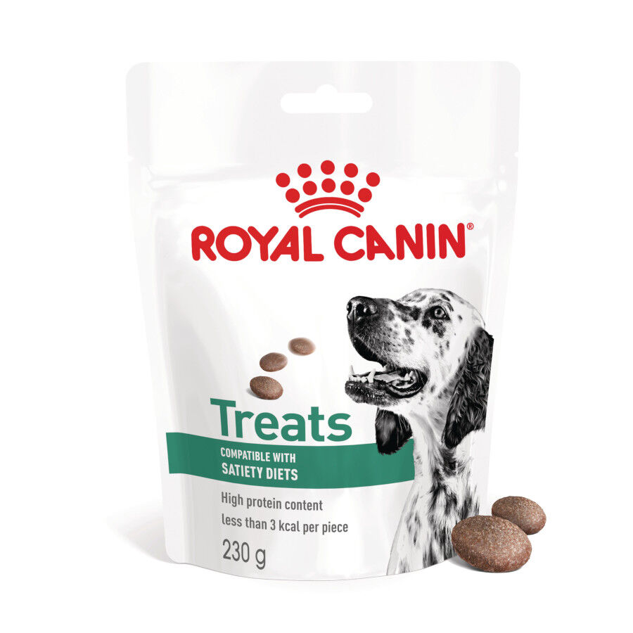 230 g Royal Canin Treats Satiefy Snacks para Perros, , large indicador imagen numero 1