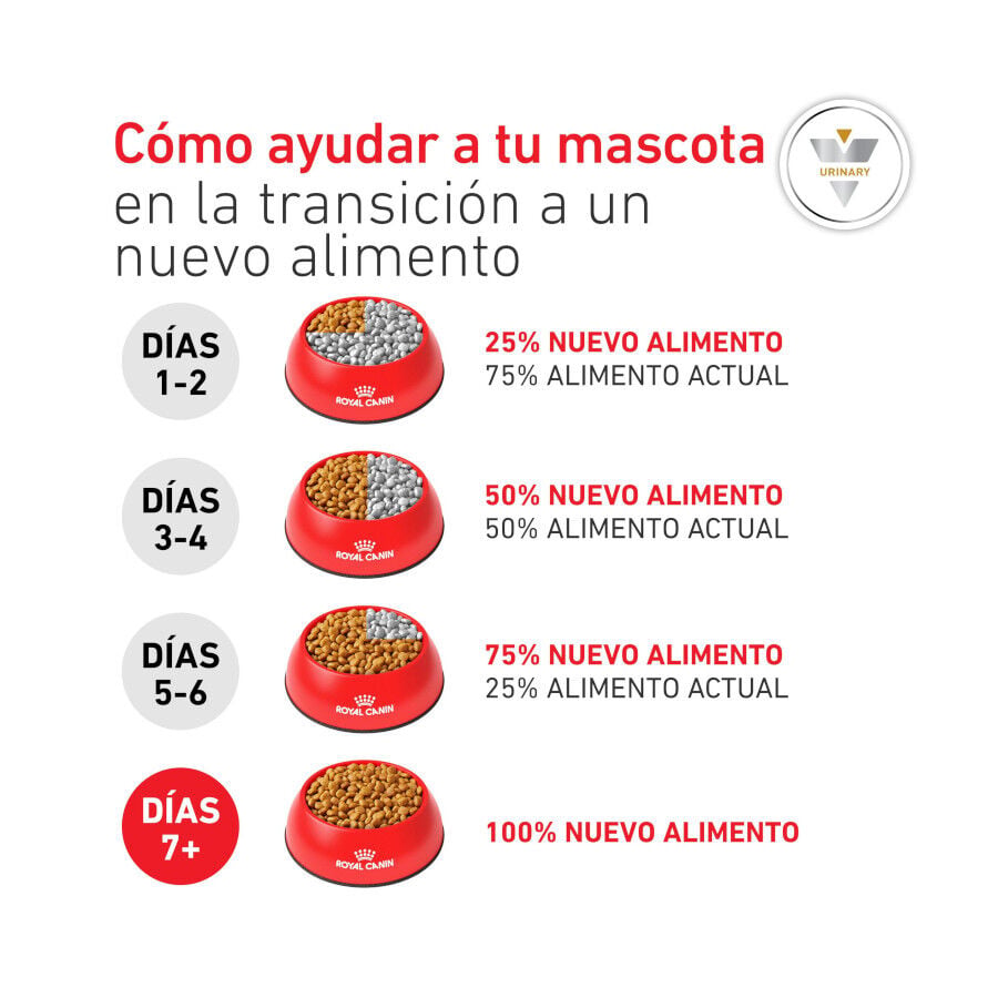 9 kg Royal Canin Veterinary Urinary S/O Moderate Calorie pienso para gatos, , large indicador imagen numero 10