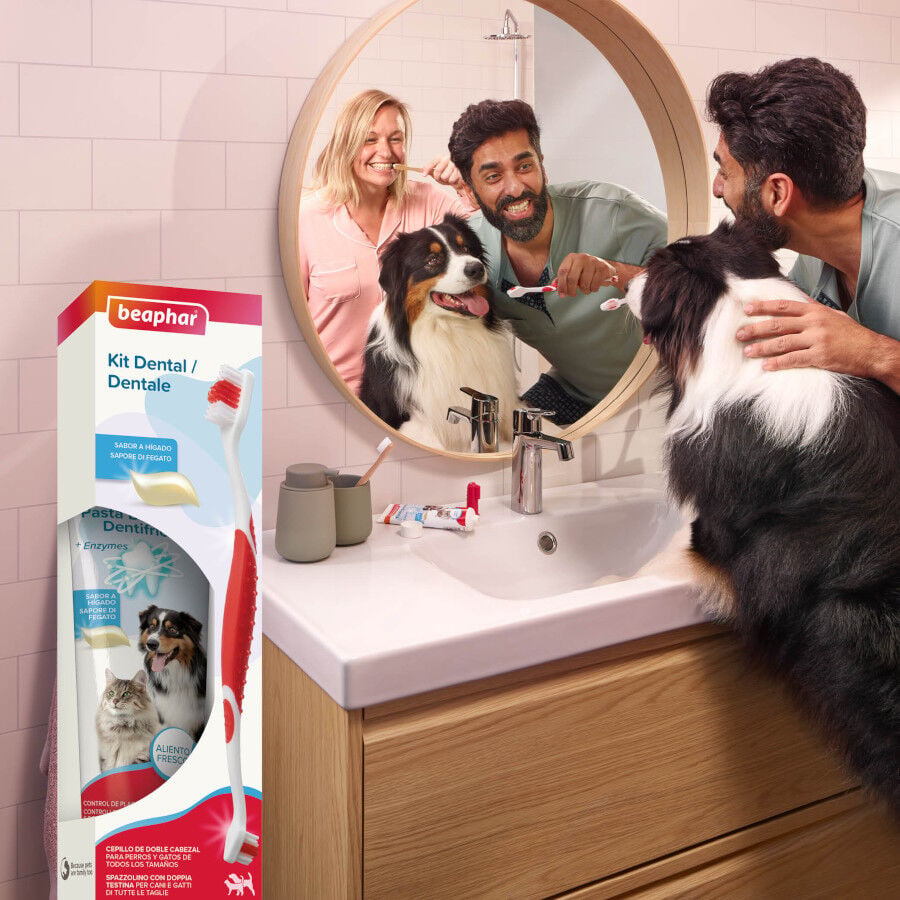 Beaphar Pack Dental Pasta y Cepillo para Perros y Gatos, , large Imagen numero 3