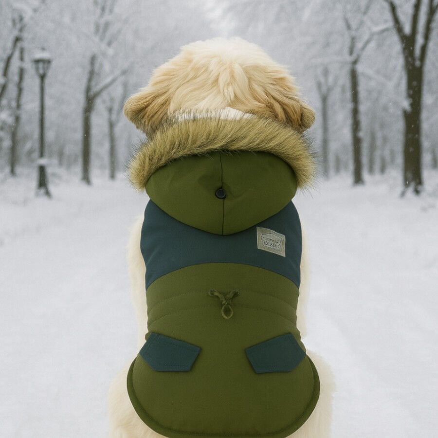 Outech Abrigo Impermeable Verde con Bolsillo para perros, , large Imagen numero 3
