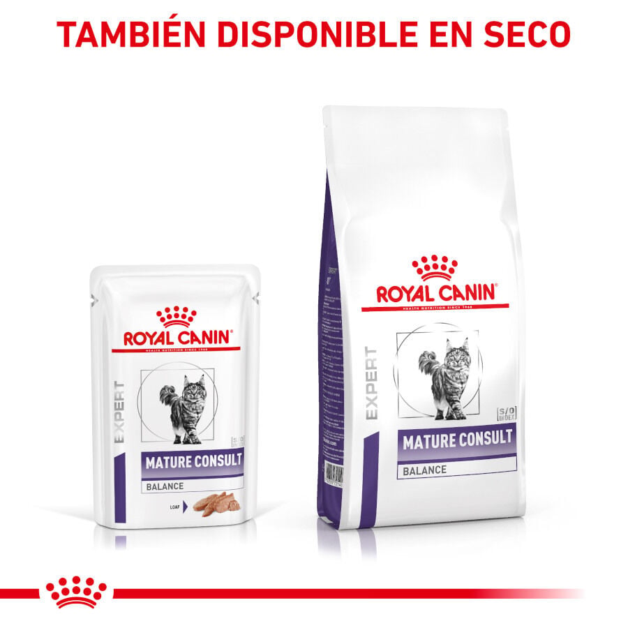 12 sobres x 85 g Royal Canin Mature Consult Balance Pat&eacute; sobre para gatos, , large indicador imagen numero 7