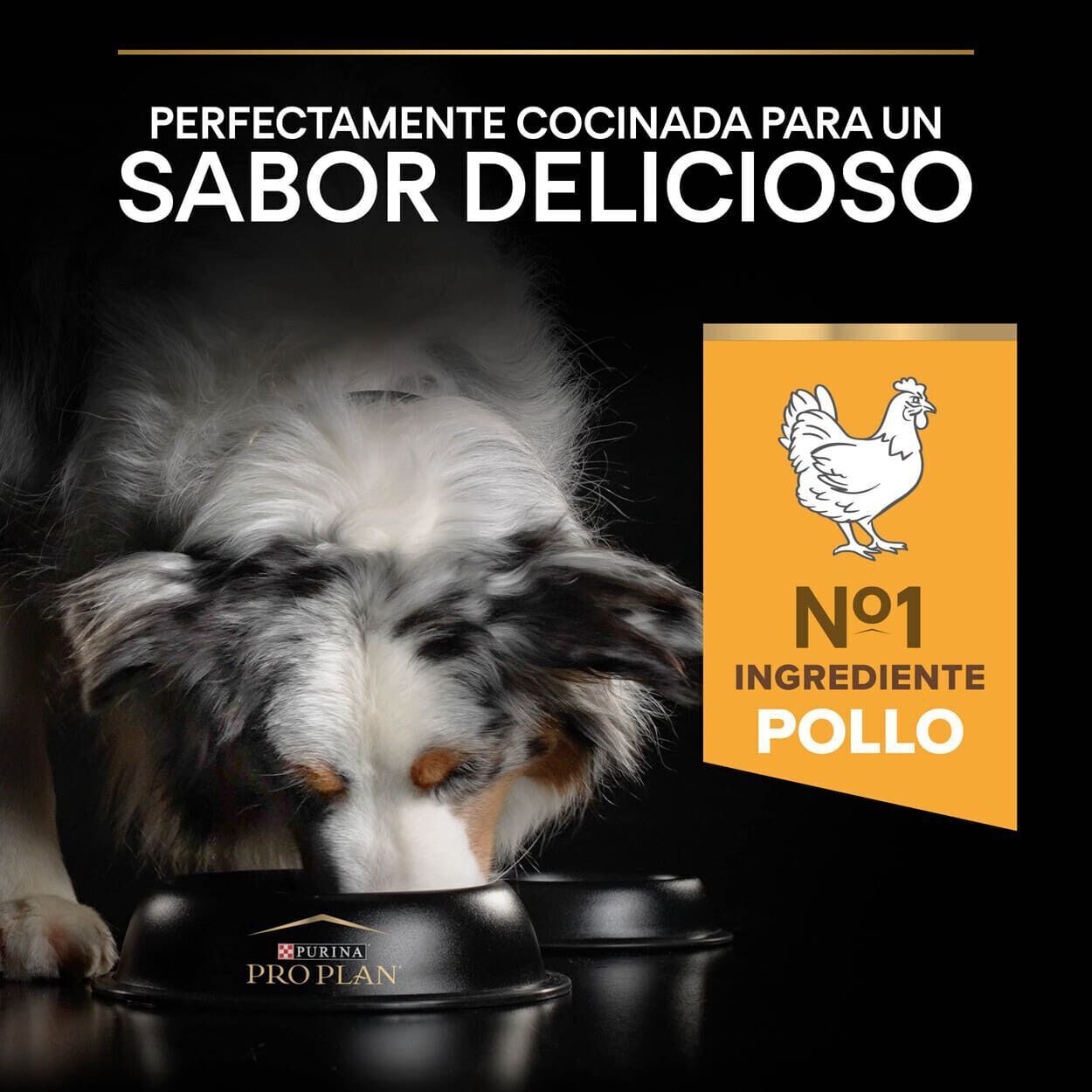 14 kg Pro Plan Medium Adult Pollo pienso para perros, , large Imagen numero 7
