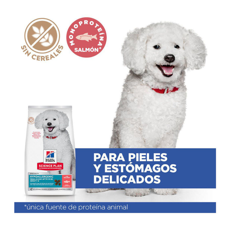 6 kg Hill's Science Plan Hipoalerg&eacute;nico Small y Mini Salm&oacute;n pienso para perros, , large indicador imagen numero 3