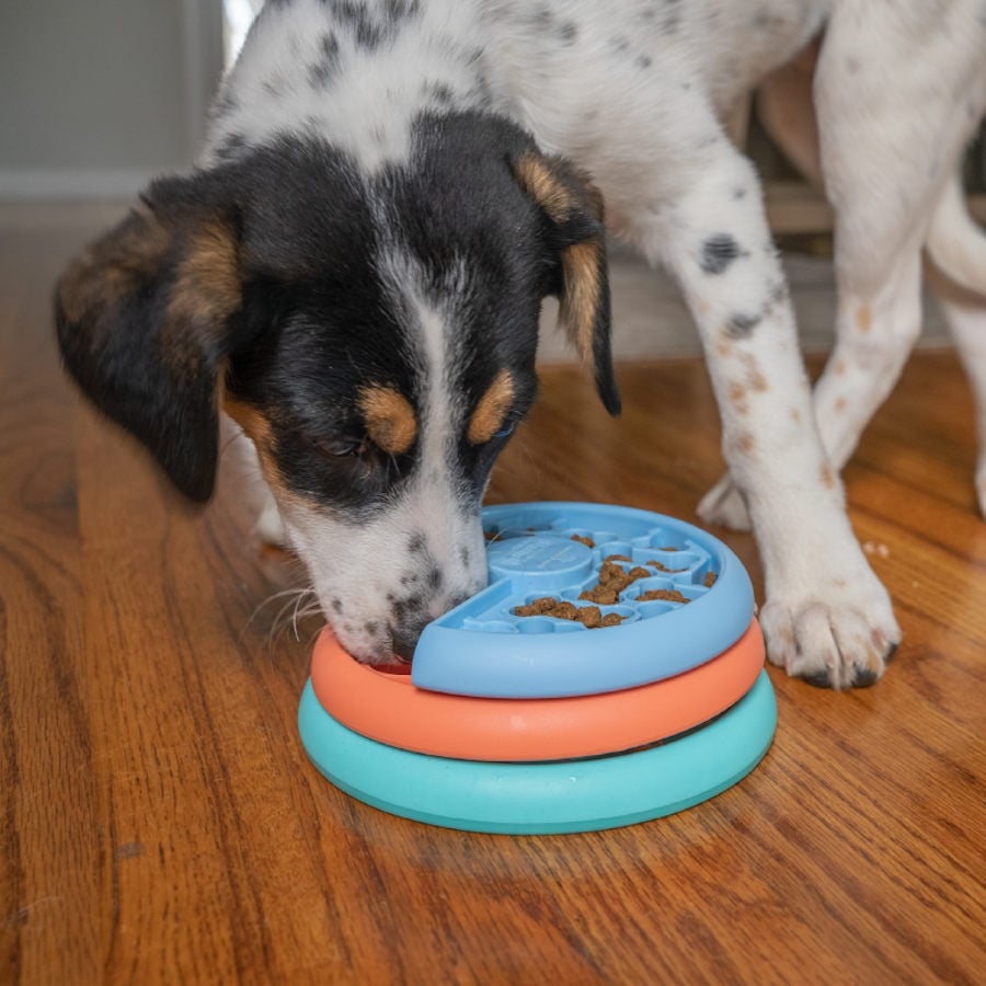 Outward Hound Puppy Lickin' Layers Juguete Interactivo con Chuches para perros, , large Imagen numero 2