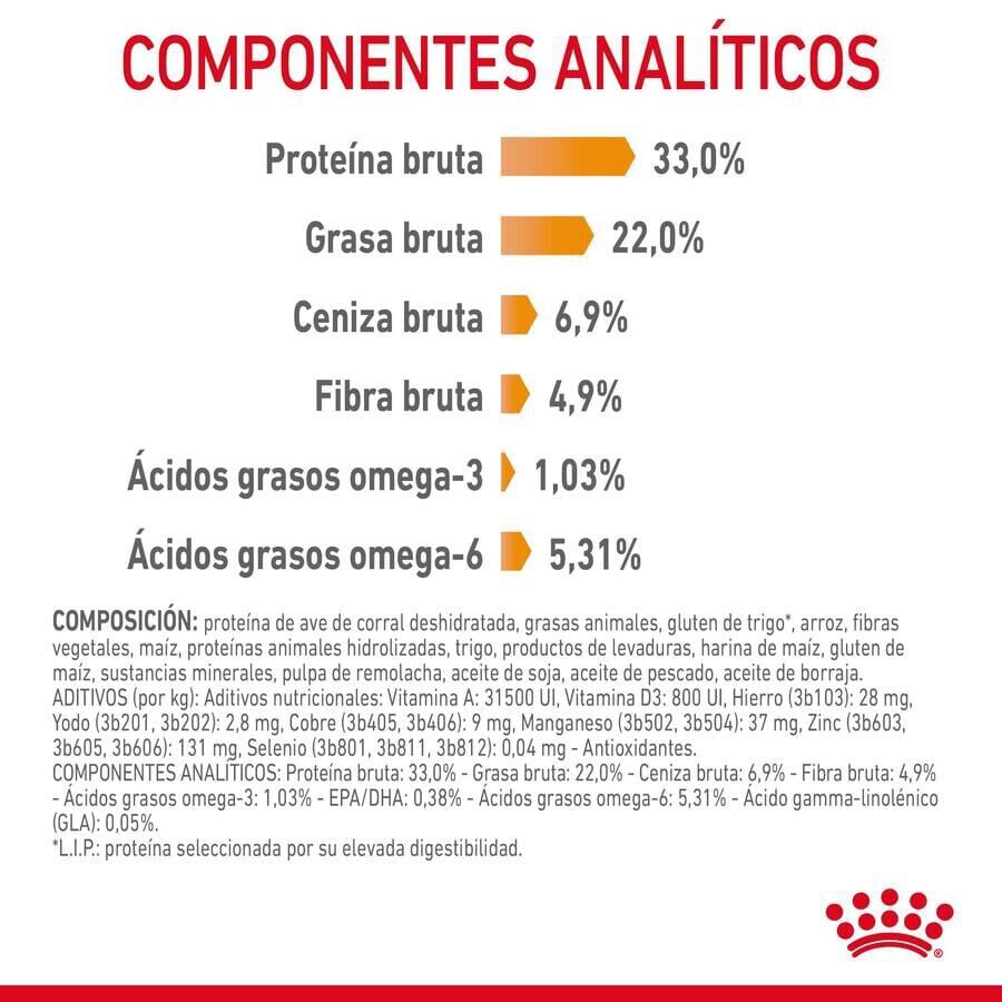 10 kg Royal Canin HairySkin pienso para gatos, , large Imagen numero 4